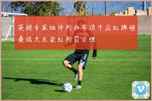 英超专家组评判加布顶牛应红牌胡桑诺夫未染红判罚合理